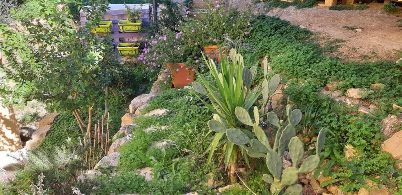 Il Moro Di Sicilia Apartment Термини Имерезе Екстериор снимка